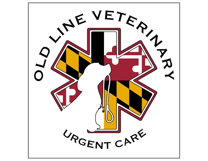 Old Line Veterinary Urgent Care 6
