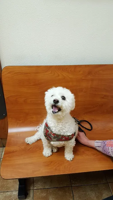 Banfield Pet Hospital 3