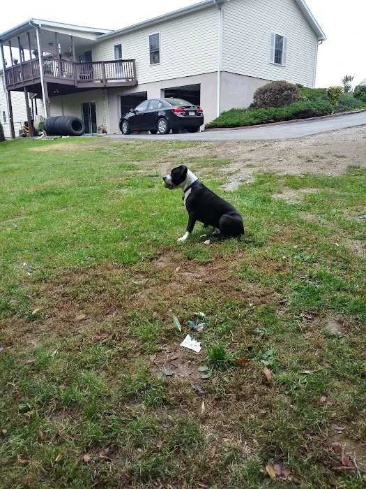 Banfield Pet Hospital 1