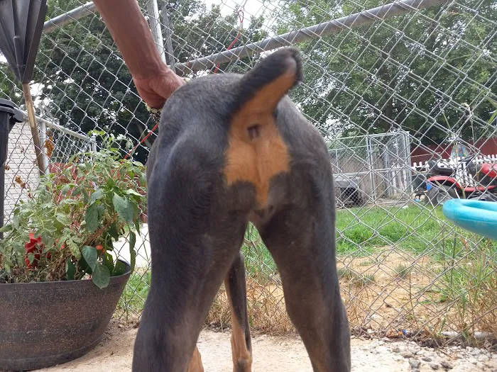 Banfield Pet Hospital 8