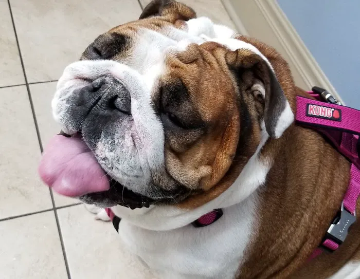 Cumberland Valley Veterinary Clinic 9