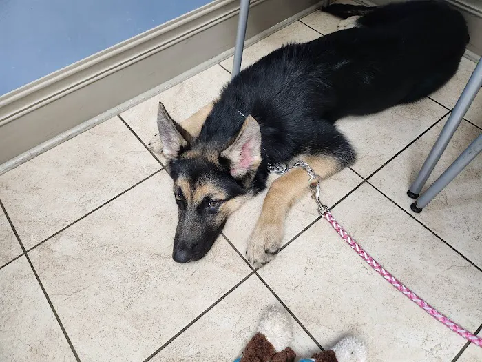 Cumberland Valley Veterinary Clinic 10