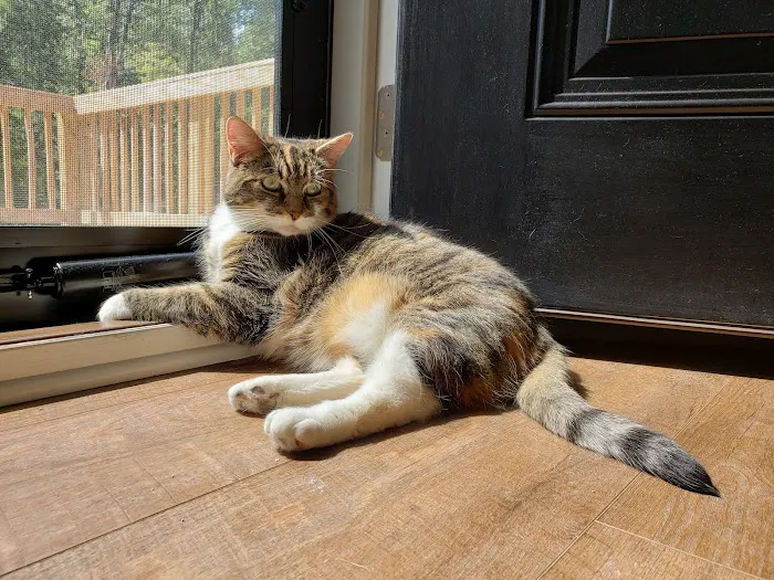 Cumberland Valley Veterinary Clinic 7
