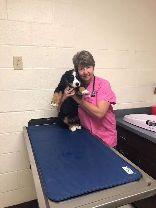 Franklin Veterinary Associates 4