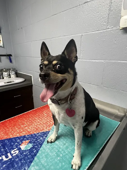 Franklin Veterinary Associates 3