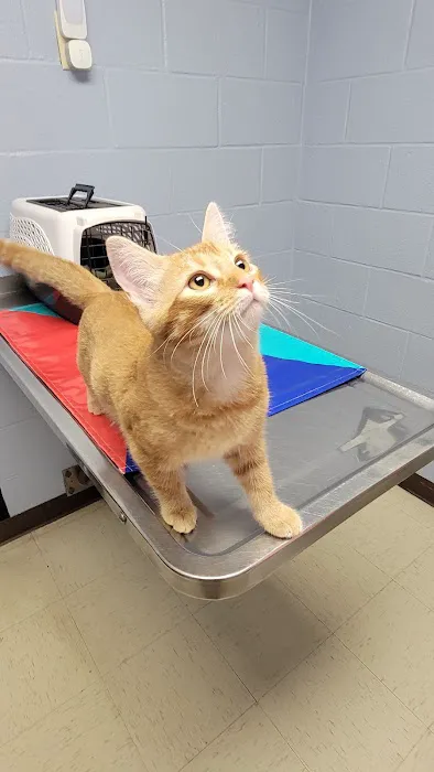 Franklin Veterinary Associates 2