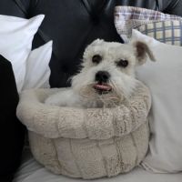 Franklin Veterinary Associates ico