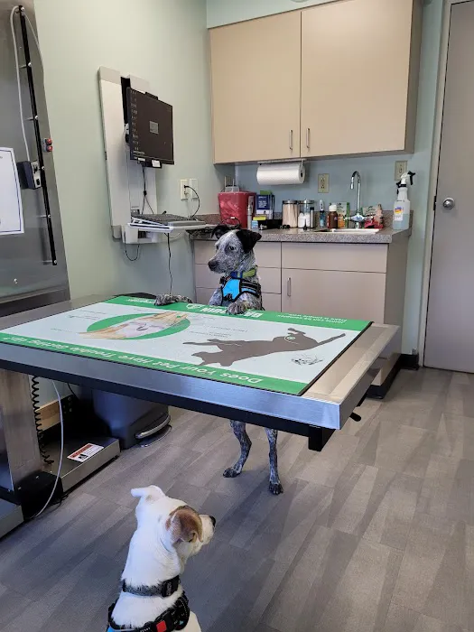 Chambersburg Animal Hospital 3