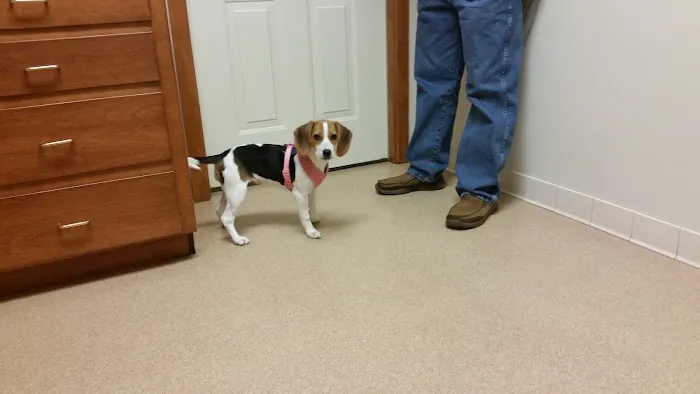 Best Friends Animal Hospital 6