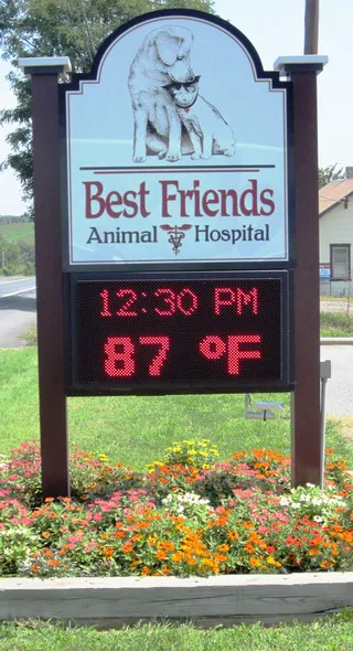 Best Friends Animal Hospital 8