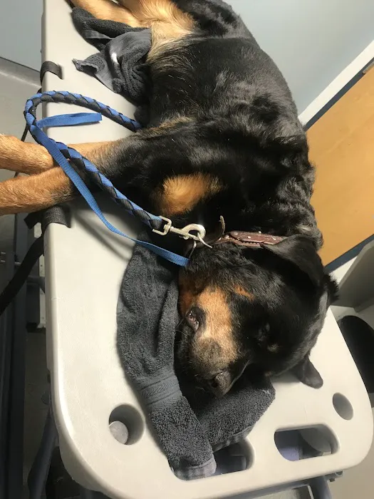 Mt. Rock Animal Hospital 7