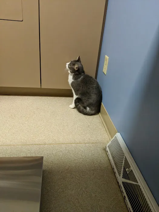Mt. Rock Animal Hospital 2