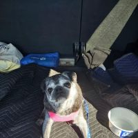 Mt. Rock Animal Hospital ico