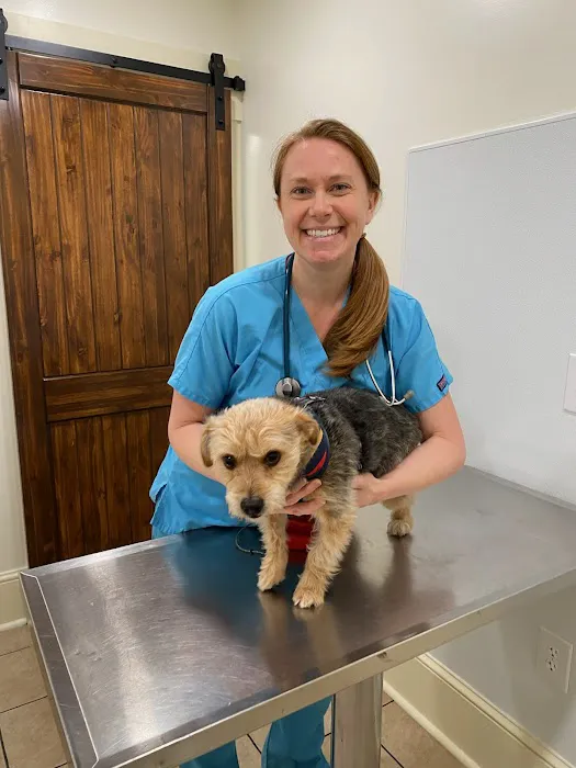 Kingdom Veterinary Hospital 2