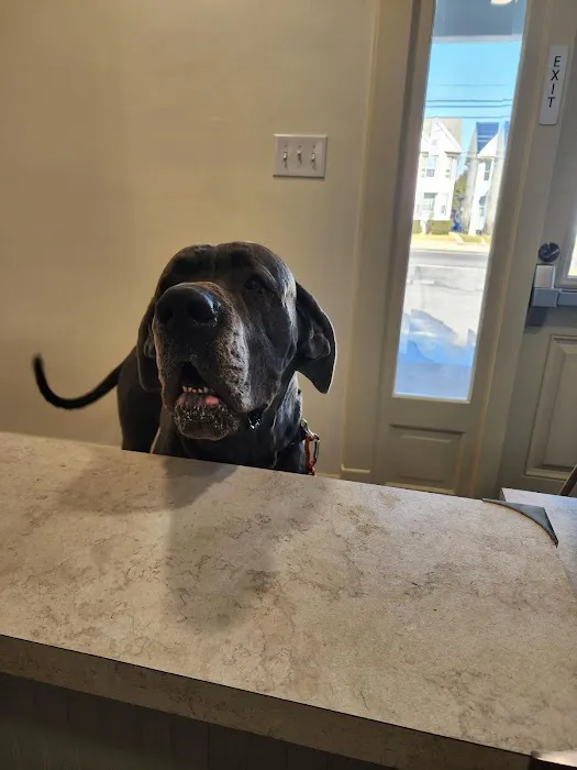 Kingdom Veterinary Hospital 6