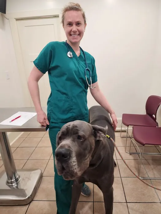 Kingdom Veterinary Hospital 3