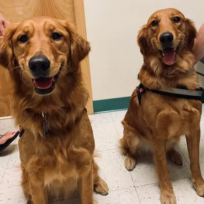 Saint Thomas Veterinary Center 3