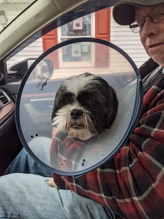 A. Little Veterinary Clinic 7