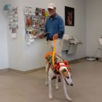 Western Sussex Animal Hospital, Inc. ico