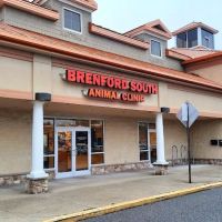 Brenford South Animal Clinic ico