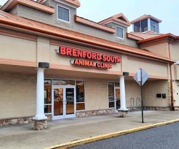 Brenford South Animal Clinic
