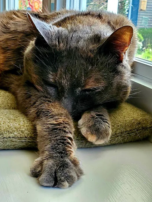Forrest Avenue Animal Hospital 5