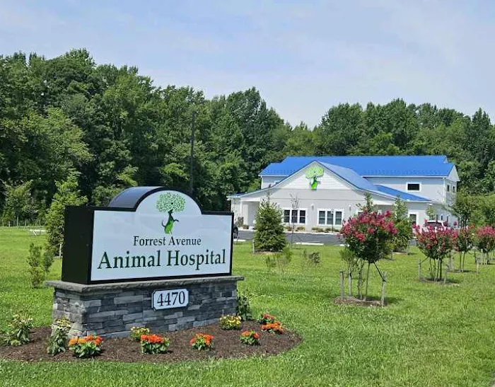 Forrest Avenue Animal Hospital 10
