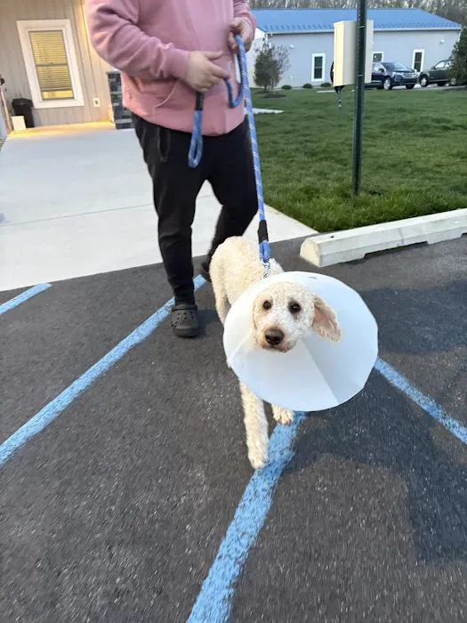 Forrest Avenue Animal Hospital 7