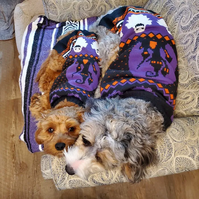 Forrest Avenue Animal Hospital 8