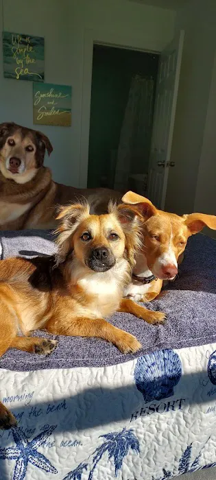 Kilmarnock Animal Hospital 1