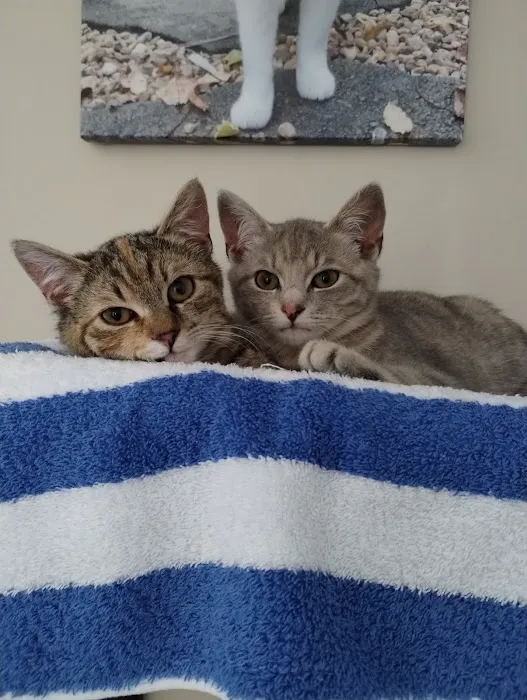 Tri-County Animal Hospital 3