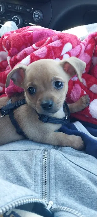 Tri-County Animal Hospital 6