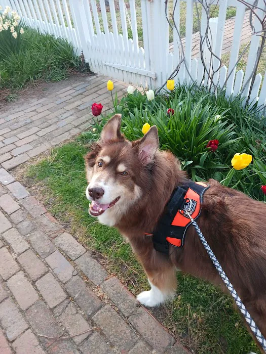 Tri-County Animal Hospital 8