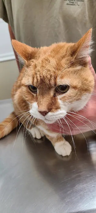 Tri-County Animal Hospital 7