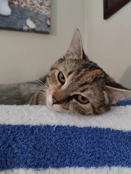 Tri-County Animal Hospital 1