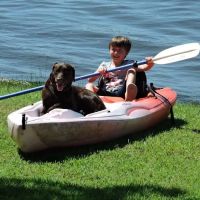 Hartfield Animal Hospital ico