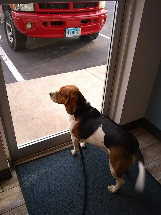 Hartfield Animal Hospital 10