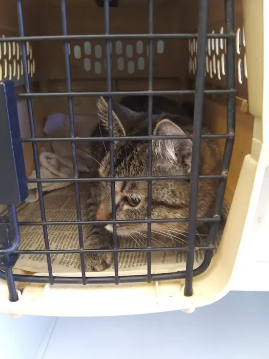 Hartfield Animal Hospital 3