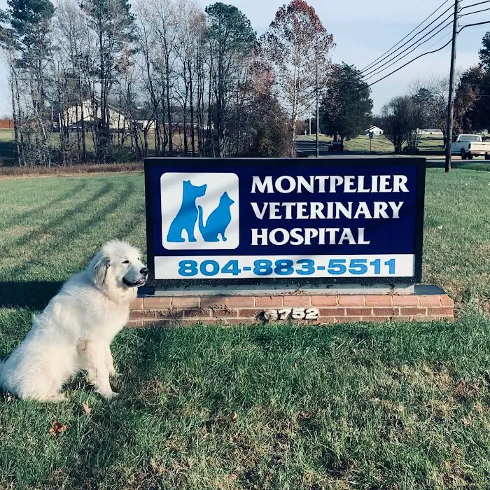 Montpelier Veterinary Hospital 9