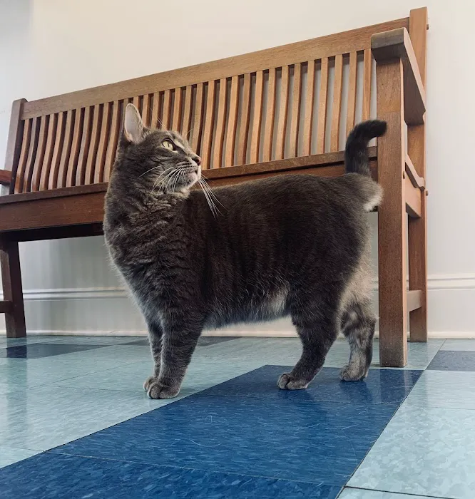 Montpelier Veterinary Hospital 8