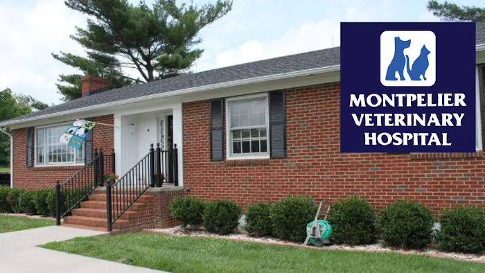 Montpelier Veterinary Hospital 10