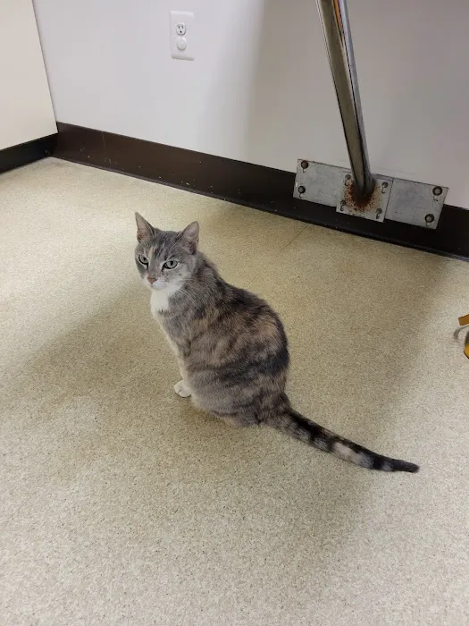 Ashland Veterinary Hospital 4