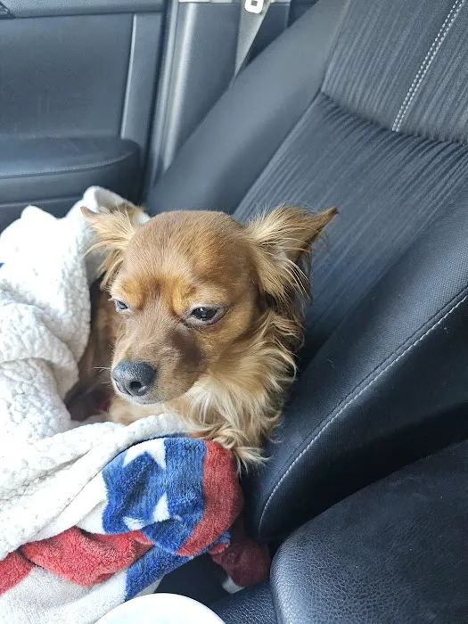 Ashland Veterinary Hospital 10