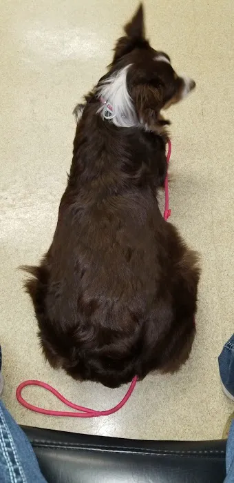 Ashland Veterinary Hospital 5