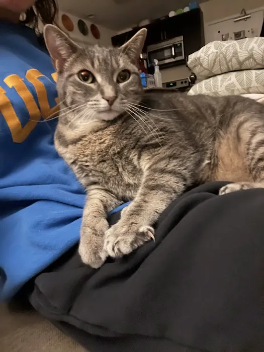 Ashland Veterinary Hospital 6