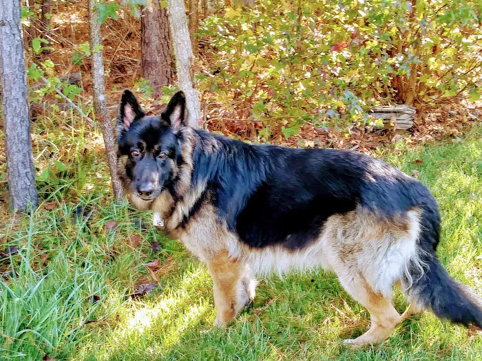 Ashland Veterinary Hospital 1