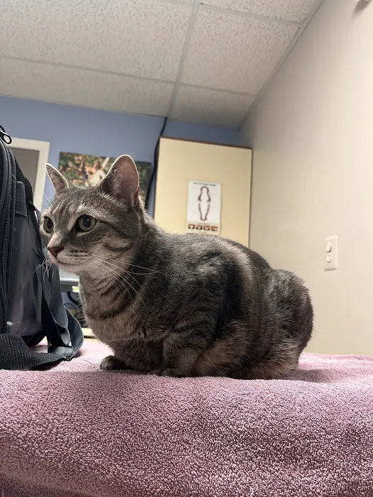 Ashland Veterinary Hospital 7