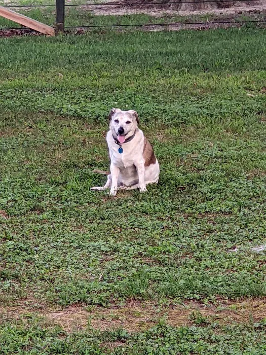 Glen Allen Animal Hospital 10