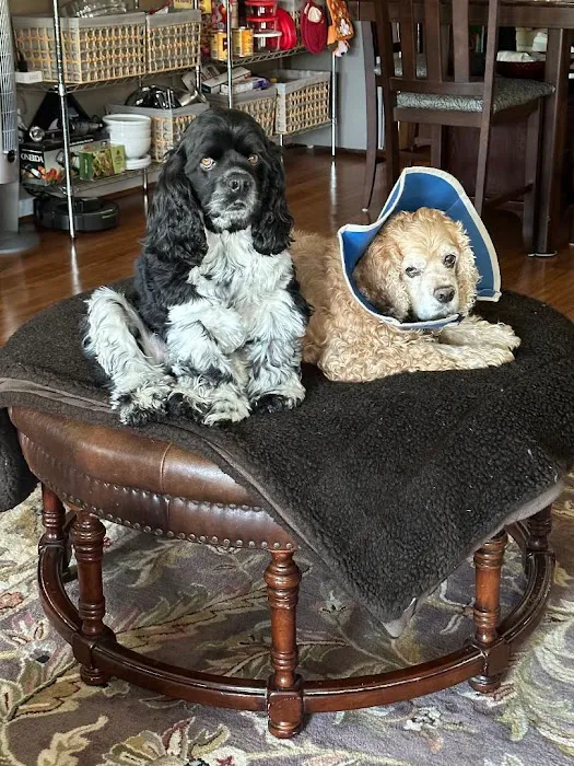 Glen Allen Animal Hospital 2