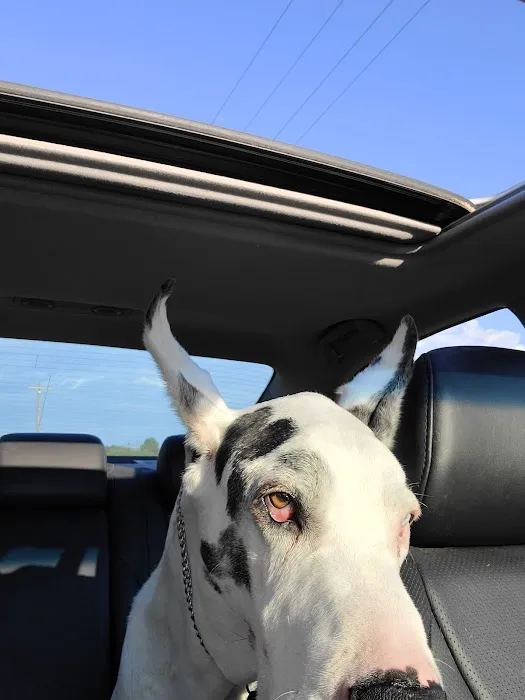Glen Allen Animal Hospital 9